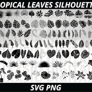 Tropical Leaves Svg, Monstera Svg, Tropical Leaf Svg, Monstera Leaf Svg, Palm Leaf Svg, Jungle Leaves Svg, Tropical Svg, Monstera Png
