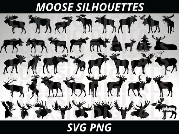 Moose Svg, Moose Clipart, Moose Png, Hunting Svg, Animal Svg, Forest Svg, Woodland Animals Svg, Moose Head Svg, Svg Files For Cricut