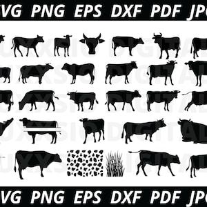 30 Cow Svg, Cow Silhouette, Highland Cow Svg, Cow Skull SVG, Cow Spots SVG, Grass Svg, Dairy Cow Svg, Farm animal Svg, Cow Png, Cow Clipart