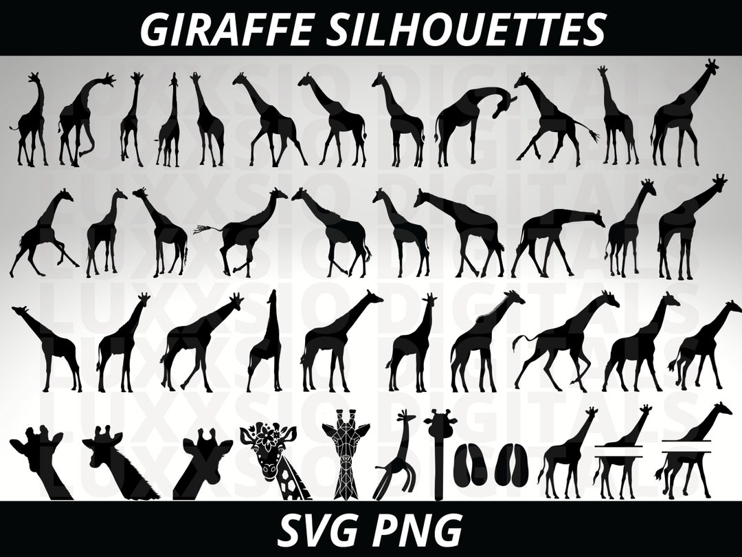 Giraffe Svg, Safari Svg, Animal Svg, Africa Svg, Safari Animals Svg