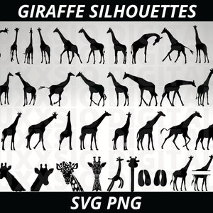 Giraffe Svg, Safari Svg, Animal Svg, Africa Svg, Safari Animals Svg, Giraffe Silhouettes Svg, Giraffe Print Svg, Svg Files for Cricut, PNG