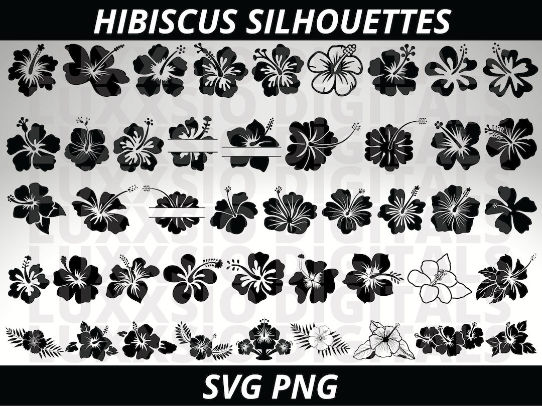 Hibiscus Svg, Flower Svg, Hawaiian Flower Svg, Hibiscus Flower Svg