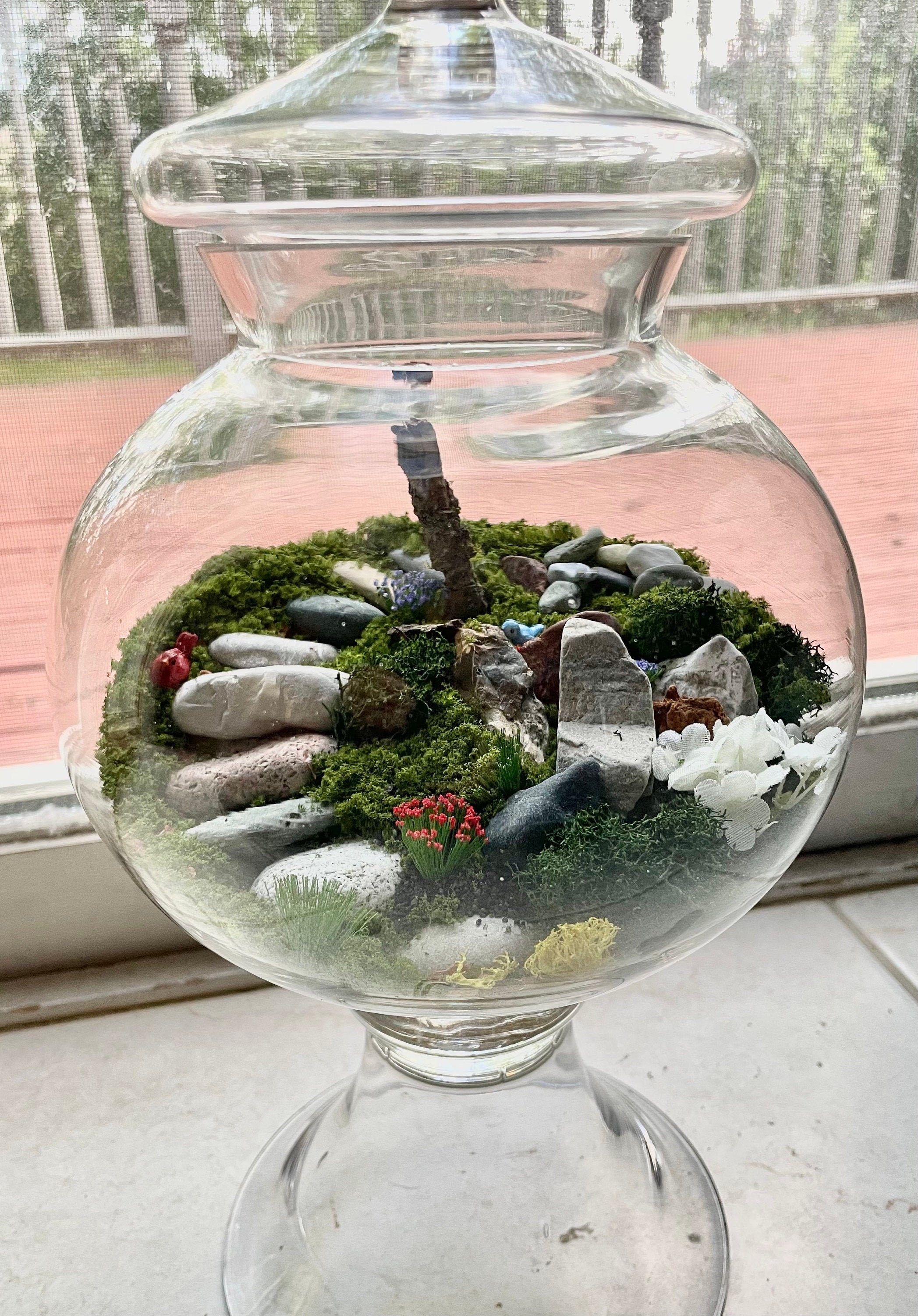 Glass Bowl Terrarium Etsy