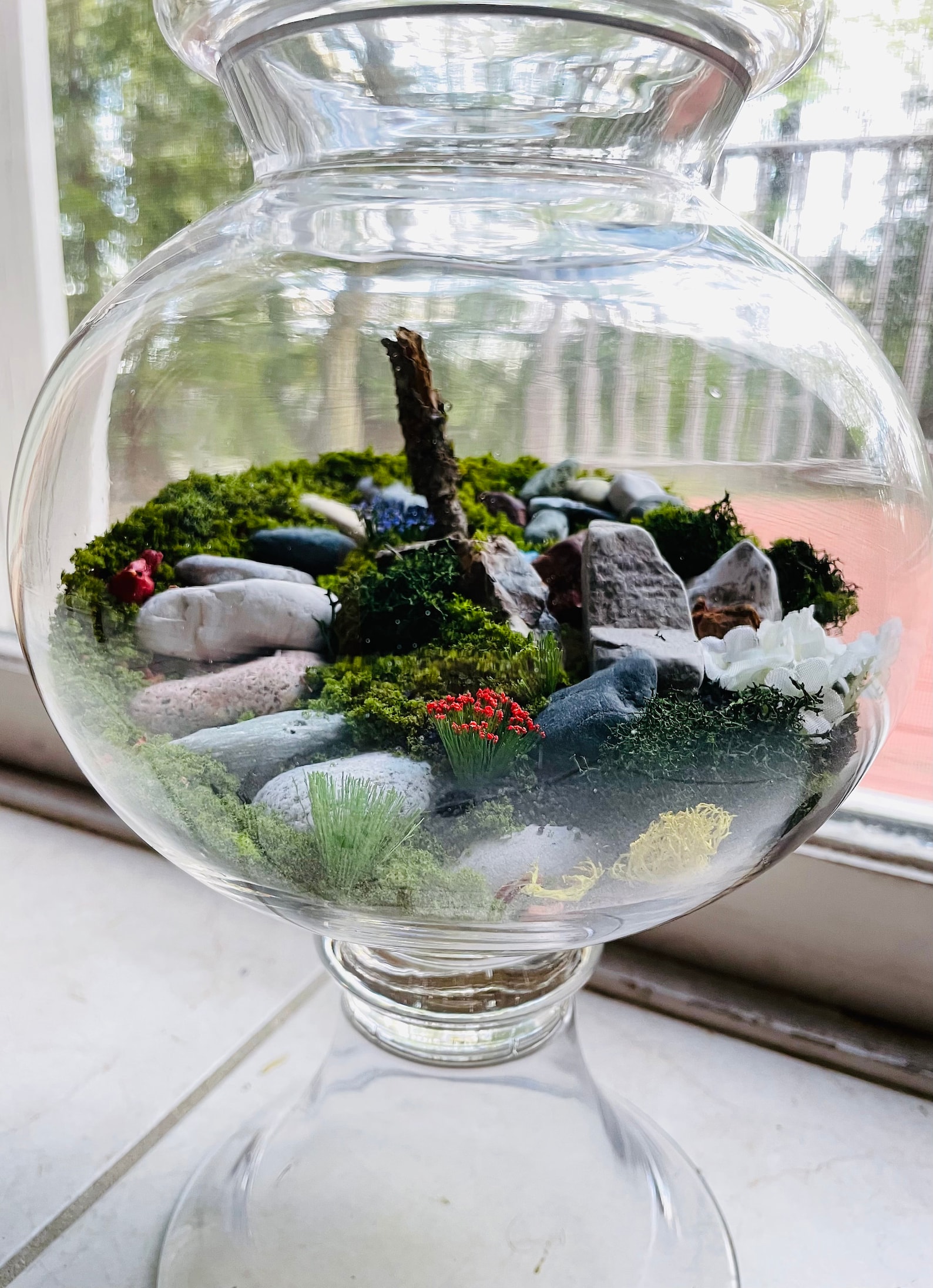 Glass Bowl Terrarium Etsy