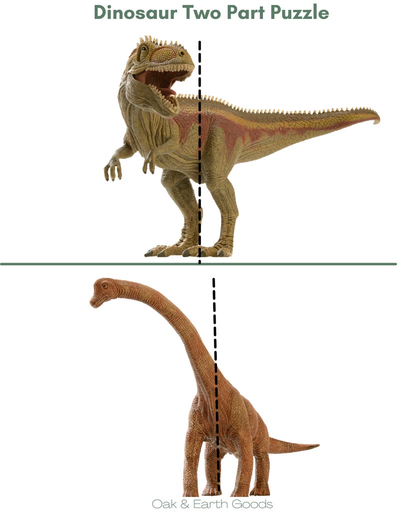 May include: Two-part dinosaur puzzle featuring a Tyrannosaurus Rex and a Brachiosaurus. The dinosaurs are brown and tan with a dashed line down the center of each image.