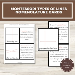 Tipos de linhas Montessori Cartão de definição | História de geometria e perguntas de compreensão | Montessori Elementary | Digital para impressão
