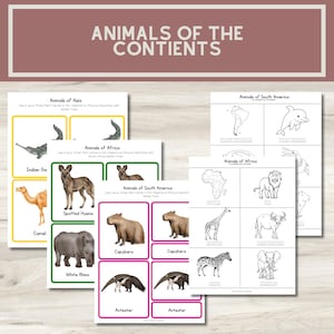 Cartes Montessori Animaux des continents en trois parties - Téléchargement numérique (38 pages) avec livret et figurine assortie