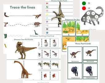 Instant Downloand Montessori Dinosaur Activity -Montessori Three Part Cards- Preschool Printables-Dinosaur Activities