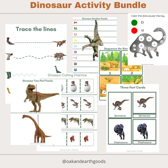 Instant Downloand Montessori Dinosaur Activity -Montessori Three Part Cards- Preschool Printables-Dinosaur Activities