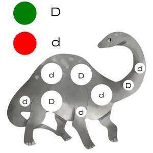 May include: A black and white illustration of a dinosaur with a green and red key to color the dots on the dinosaur. The key shows a green circle with the letter D and a red circle with the letter d.