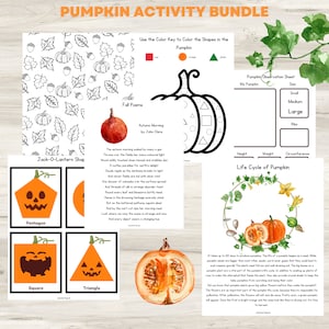 Lifecycle of Pumpkin | Fall Printables | Montessori Three Part Cards | Pumpkin Printable | Busy Book Pages | Jack-O-Lantern Shapes