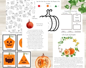 Lifecycle of Pumpkin | Fall Printables | Montessori Three Part Cards | Pumpkin Printable | Busy Book Pages | Jack-O-Lantern Shapes