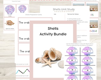 Montessori Shells Activity Bundle | Preposition Cards | Three Part Cards | Positive Snake Game Cards | Busy Book Pages | Digital Download