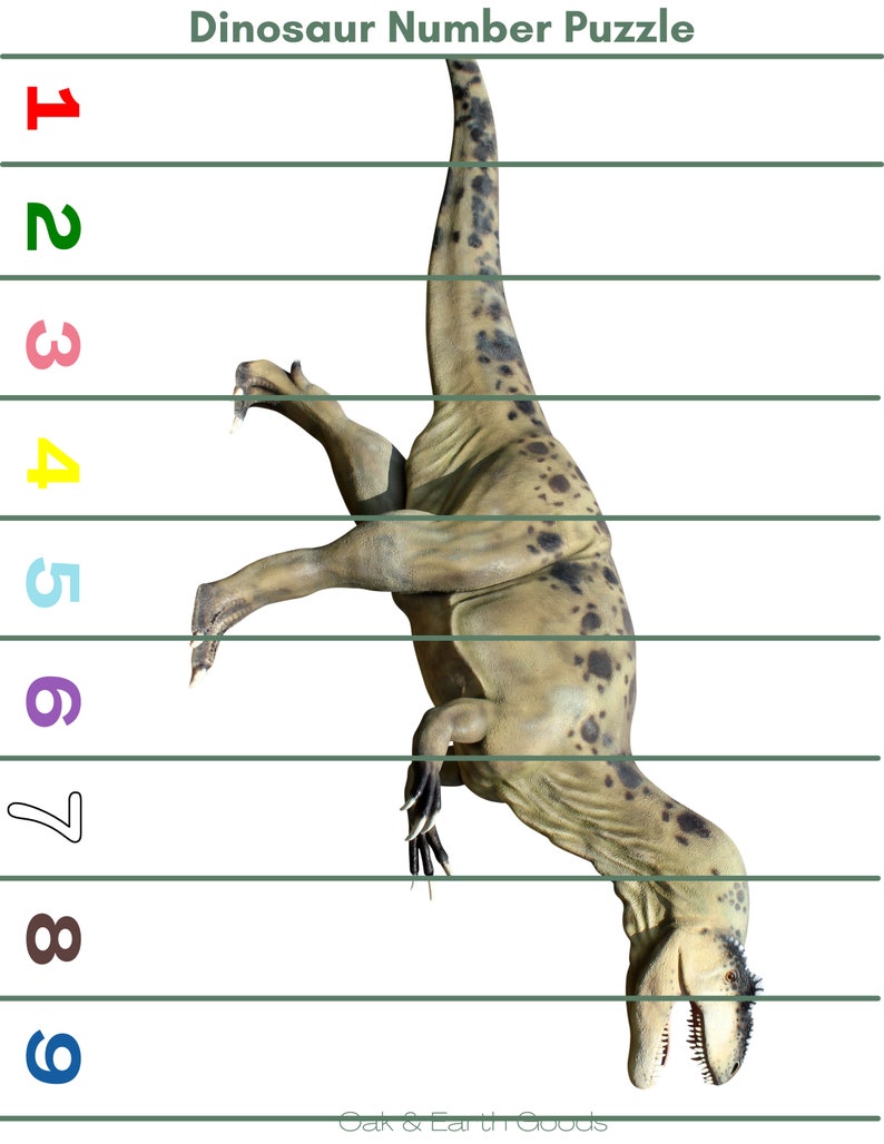 May include: A dinosaur number puzzle with a green, brown, and gray dinosaur on a white background. The dinosaur is numbered 1 through 9. The numbers are in different colors.