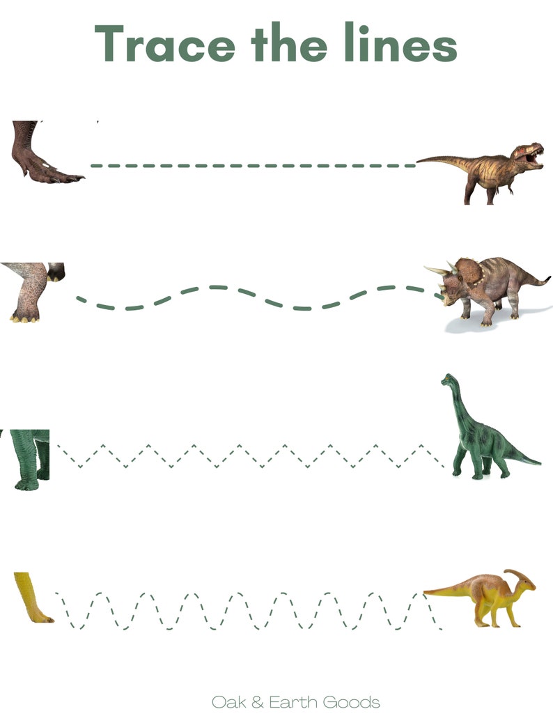May include: A printable worksheet with the text "Trace the lines" at the top. The worksheet features four lines with dashed lines for children to trace. Each line is connected to a different dinosaur illustration.