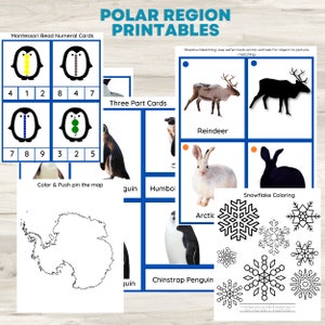 Arctique et Antarctique Montessori imprimable. Types de pingouins. Cartes en trois parties. Montessori. Pages de livre occupées