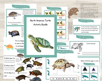 Estudio de unidad de tortugas / Estudio de unidad de tortugas Montessori / Partes de la tortuga / Tarjetas de datos de tortugas / Comprensión de lectura / Actividad matemática