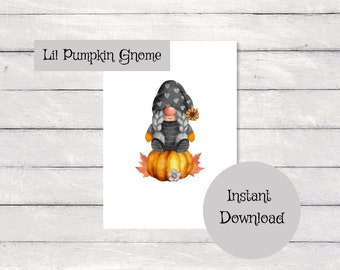 Little Girl Gnome on a pumpkin