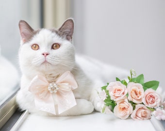 Download Bows For Cats Etsy