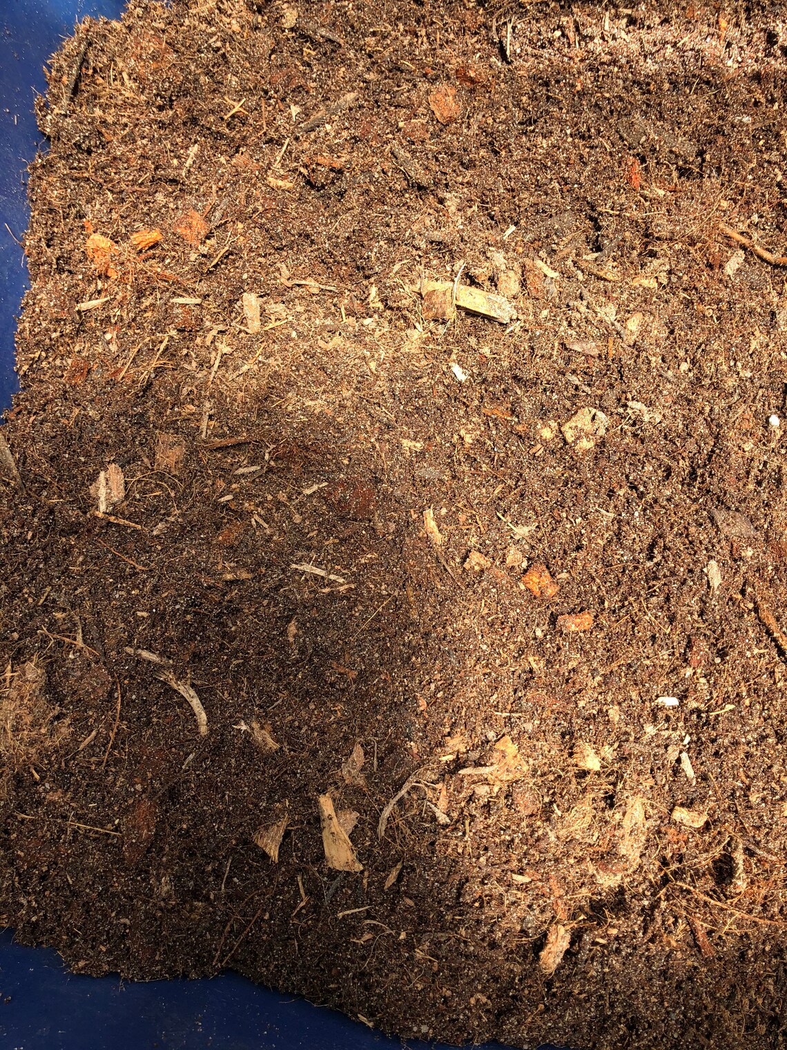 Humid Reptile Terrarium Substrate Dirt Etsy