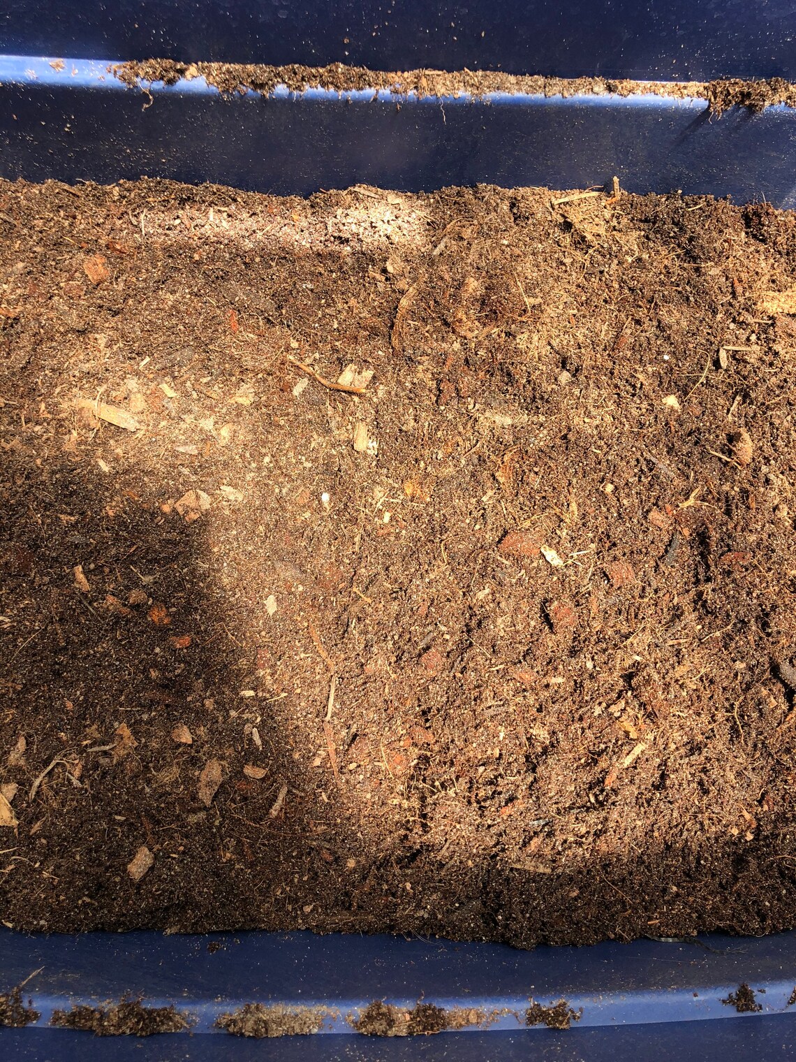 Humid Reptile Terrarium Substrate Dirt Etsy