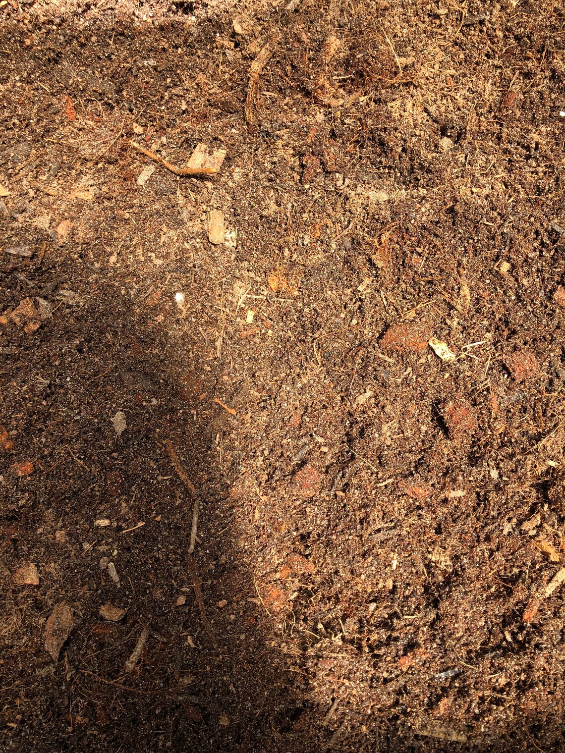 Humid Reptile Terrarium Substrate Dirt Etsy