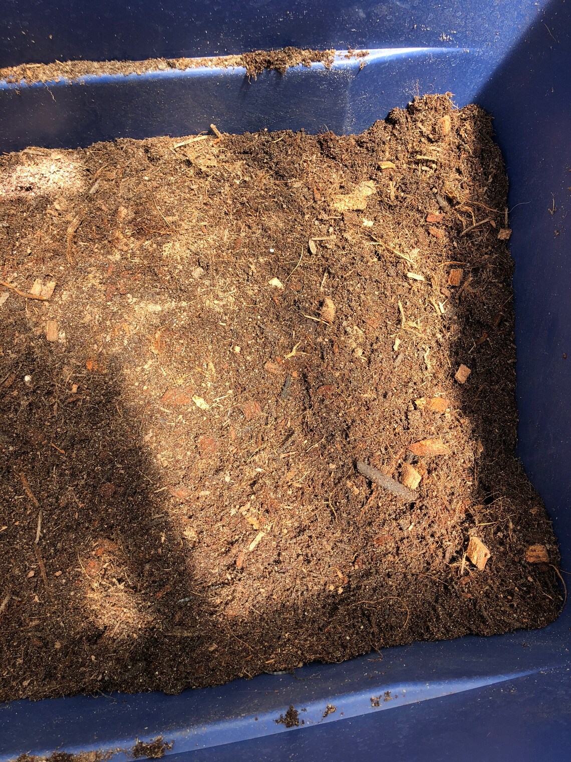 Humid Reptile Terrarium Substrate Dirt Etsy