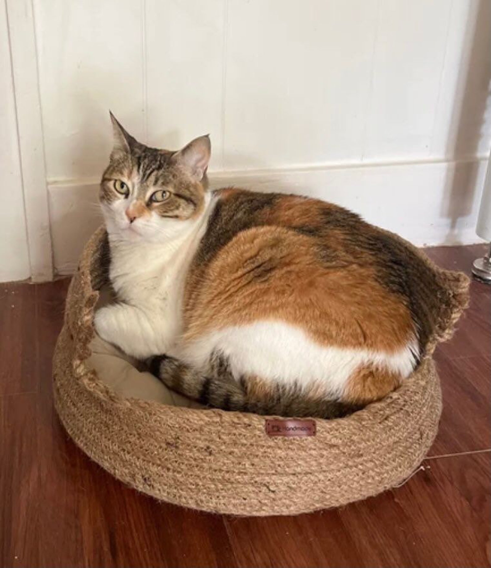 Long Model Cat and Dog Bed Cat Dog Basket Pet Basket Etsy