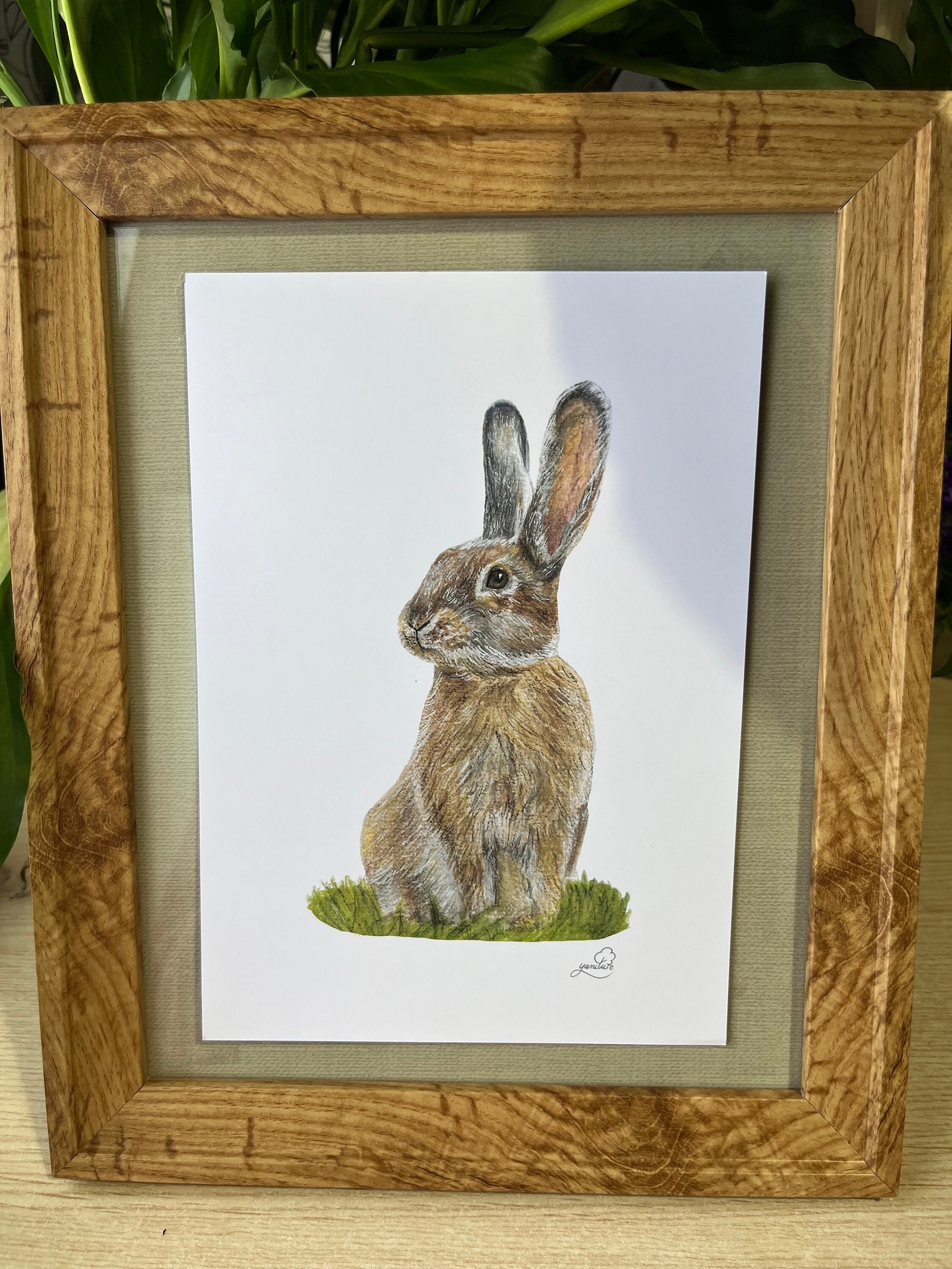 A5 Rabbit Print A5 Rabbit Illustration Bunny Painting - Etsy