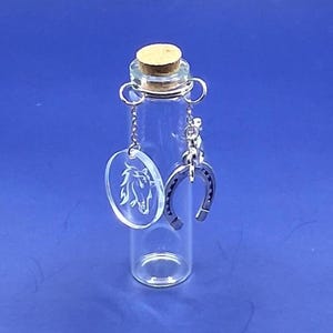 Pferdehaar Andenken Flasche, Mini Urne Pferd Asche Behälter, Pferd Mutter Sympathiegeschenk, Regenbogenbrücke Erinnerungsgeschenke