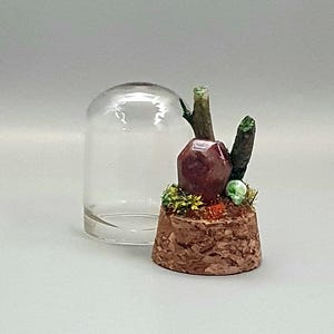 May include: A red gemstone sits on a cork base with green moss and twigs, all under a clear glass dome.