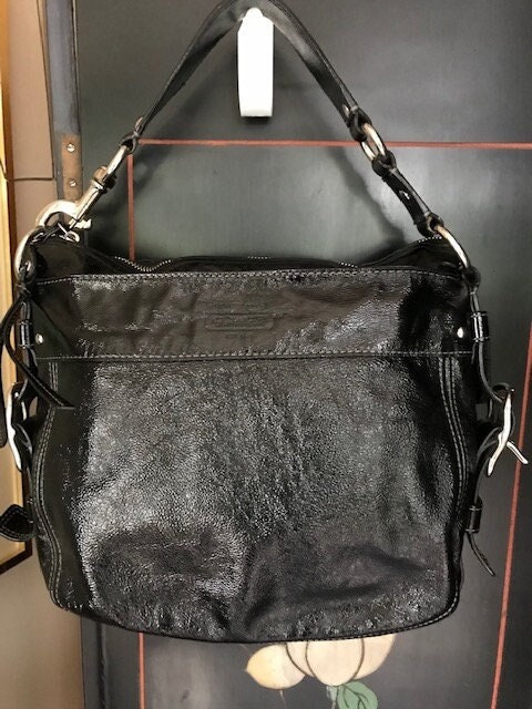 Coach zoe hobo bag store