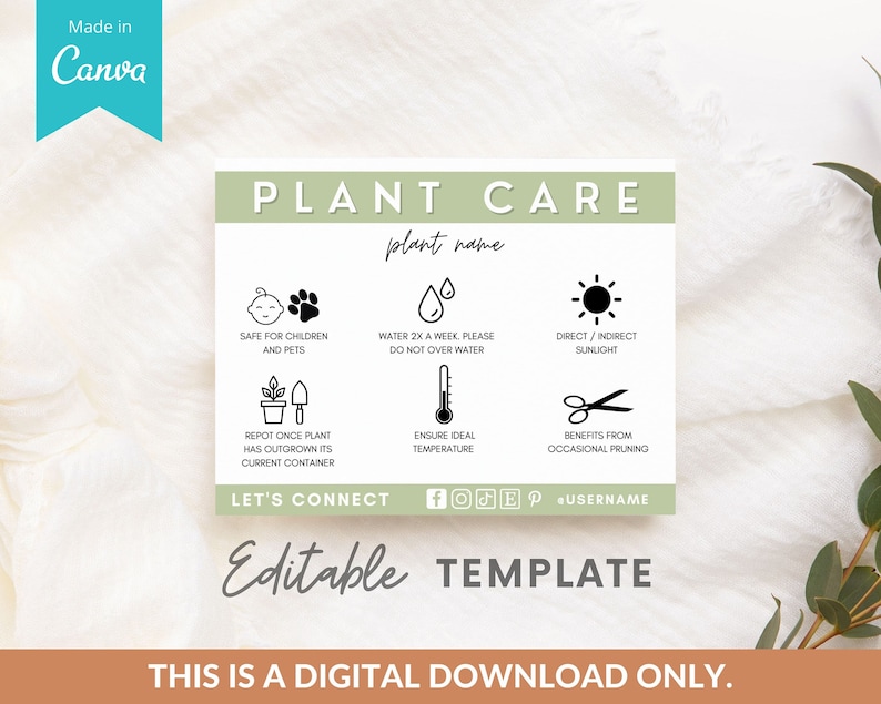 May include: Editable plant care template with icons for safe for children and pets, watering, sunlight, repotting, temperature, and pruning. The template includes the text "Plant Care", "Plant Name", "Let's Connect", and "Editable Template".