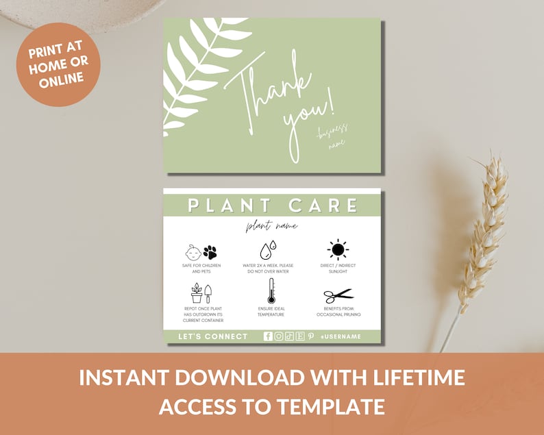 May include: A printable thank you card with a green background and a white fern design. The card also includes a plant care guide with icons for watering, sunlight, and repotting.