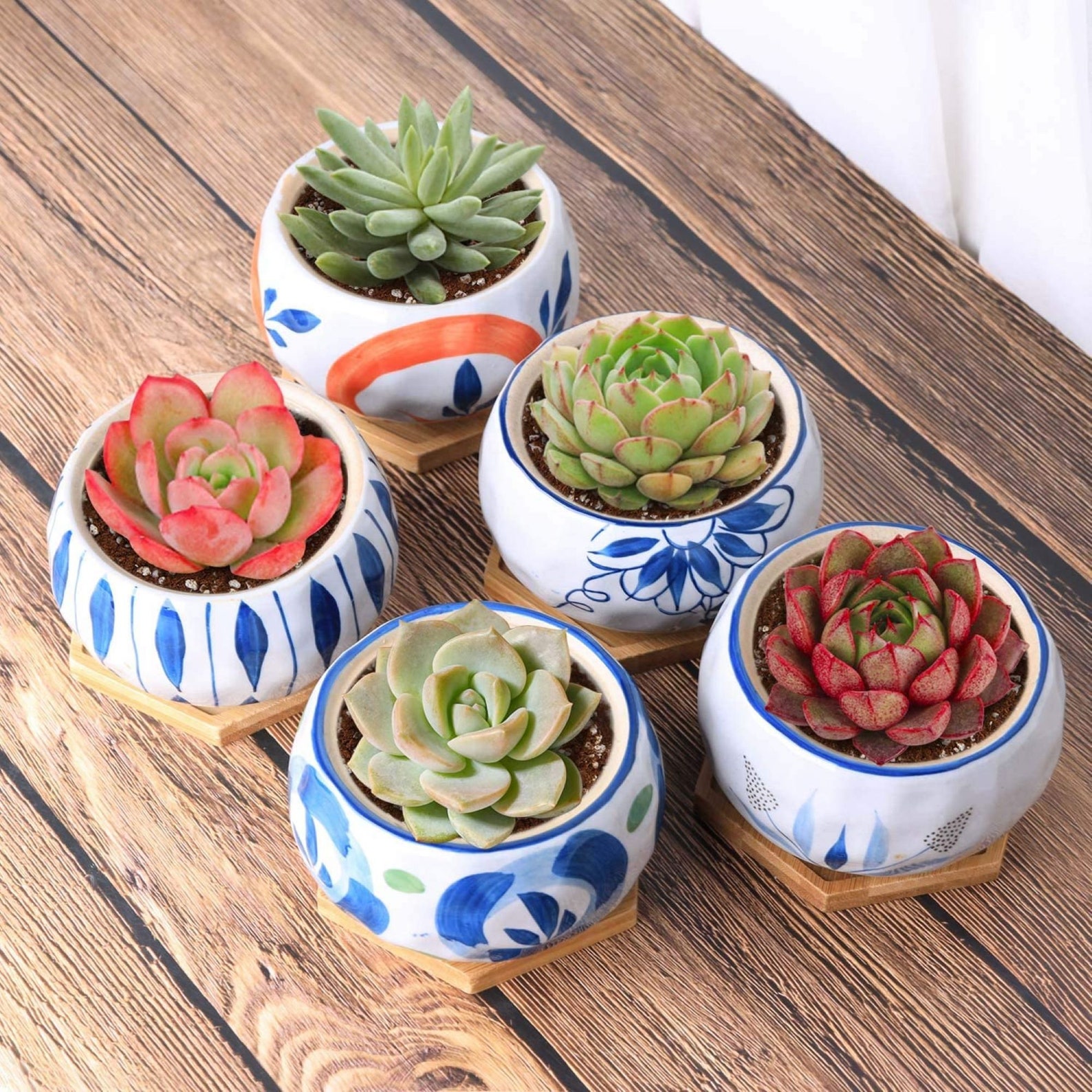 Small Plant Pot with Drainage Cute Planter Set of 5 Etsy