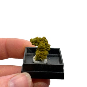 Rare Thumbnail Exquisite Green Pyromorphite from Ussel France  Crystal Mineral Specimen