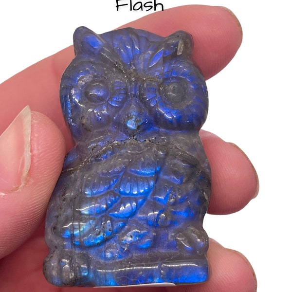 Incredible Blue Flash Labradorite Crystal OWL Carving Gemstone Mineral Specimen Hand Csrved by ME