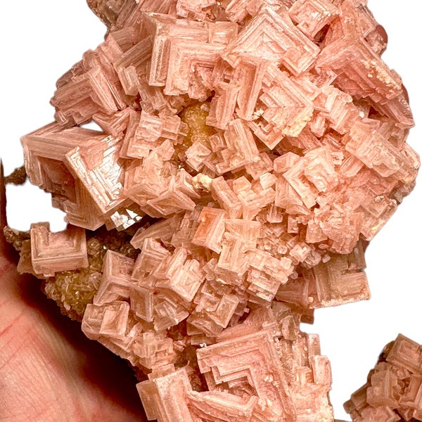 A X-LARGE  Huge Gorgeous Halite on Trona Pink Chalky Salt Mineral Specimen Shiny Crystals Gemstone