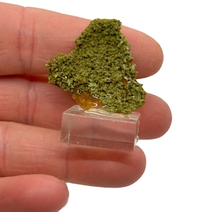 Rare Green Pyromorphite Thumbnail from Brezies Haut France on Matrix Crystal Mineral Specimen