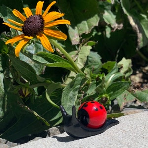 Ladybug Snarble