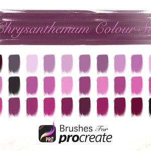 Flower Palette - Chrysanthemum Colour Set - Procreate Colour Palettes