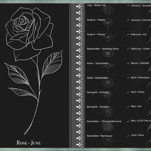 May include: A black and white line drawing of a rose with the text "ROSE - JUNE" below it. The image is part of a larger chart showing different flowers and their corresponding months.