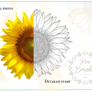Sunflower Procreate Stamps for Tattoos: 30 Very Detailed Flower Tattoo ...