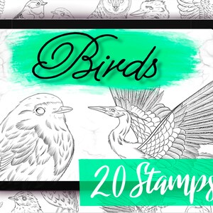 Bird Procreate Brushes - 20 Procreate Stamp Set - Detailed Bird Brushes ...