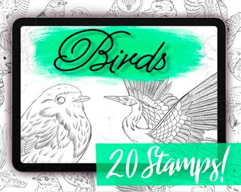 Bird Procreate Brushes - 20 Procreate Stamp Set - Detailed Bird Brushes for Procreate - Eagle Brushes, Dove Brushes, Owl Brushes & more!