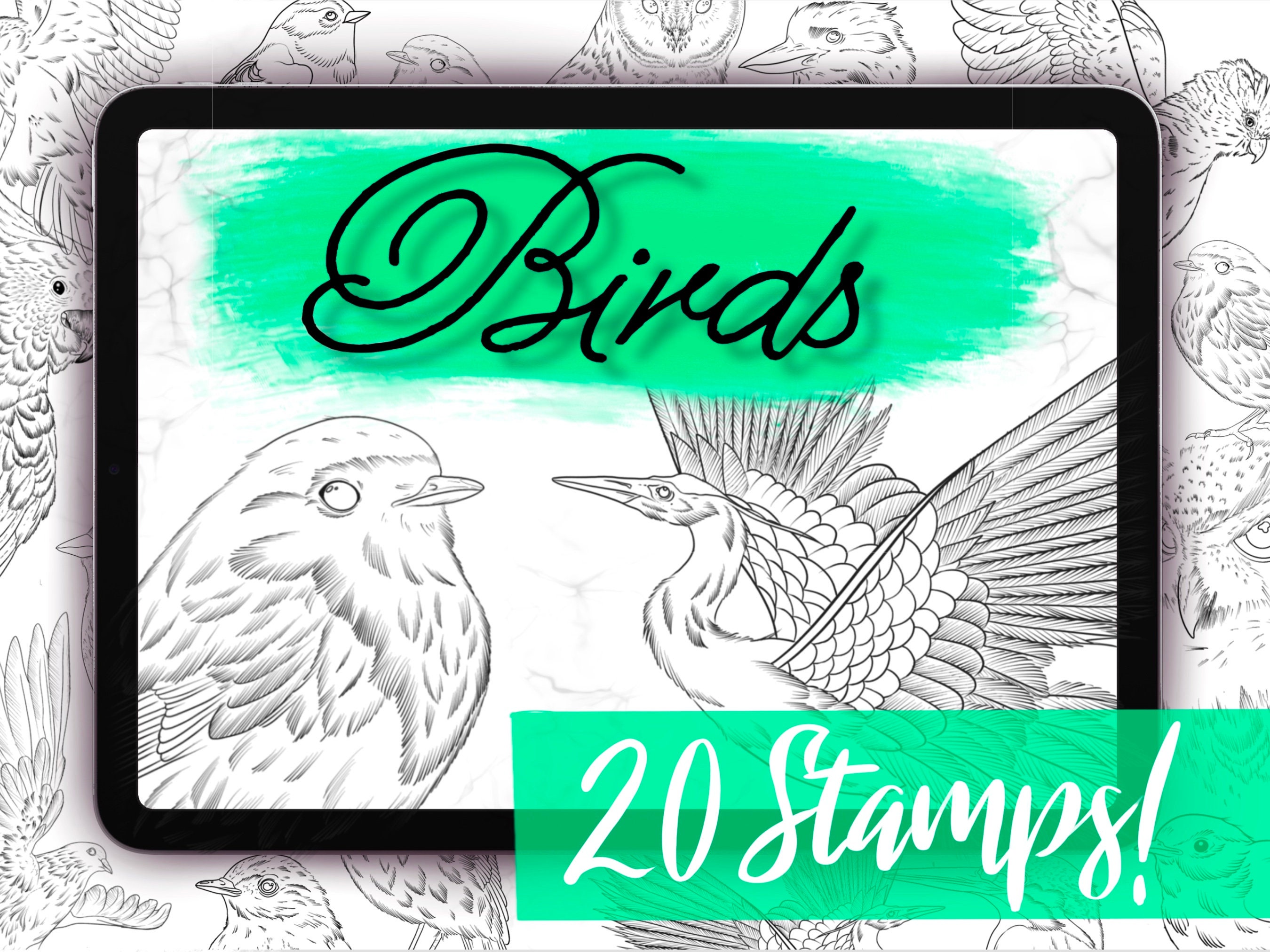 Pinceles para Procreate de aves – Set de 20 sellos detallados con águilas, búhos, palomas, petirrojos y más