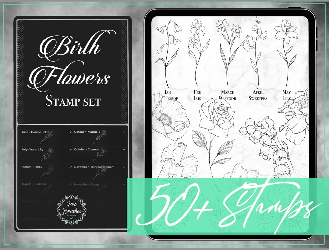 Birth Flower Designs - Procreate Birth Flower Brushes - 50+ Birth ...