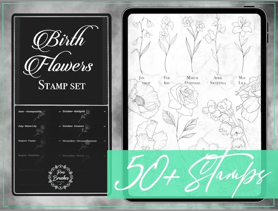 Birth Flower Designs - Procreate Birth Flower Brushes - 50+ Birth Flower Stamps - Birth Flower Tattoo Designs for Procreate