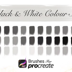 Black & White Colour Set - Procreate Colour Palettes