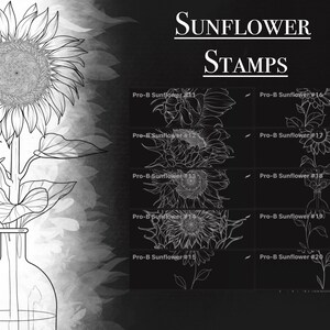 Sunflower Procreate Stamps for Tattoos: 30 Very Detailed Flower Tattoo ...